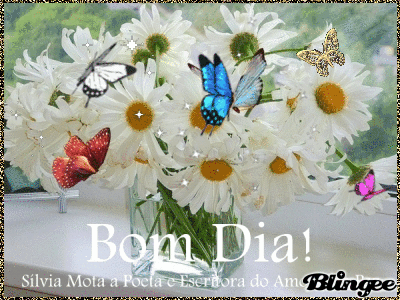 بطاقات عبارات فلشر Bom-dia-borboleta-740833415_1260334
