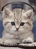 gato-ouvindo-musica_3853